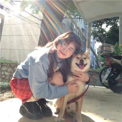 手里剑战队忍忍者